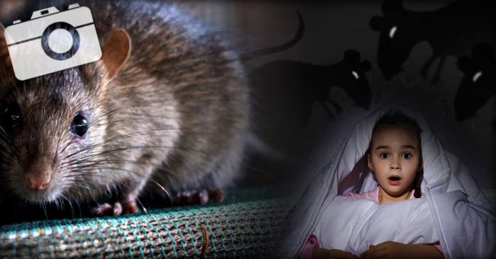 EXCLUSIV / Copii obligaţi să doarmă în pat cu şobolanii / Imagini scandaloase, într-un hotel de lux