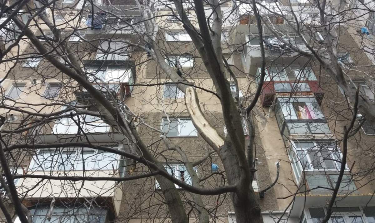 S-a certat cu mama şi s-a aruncat pe geam, de la etajul 9! Situaţie şocantă într-un cartier din Brăila