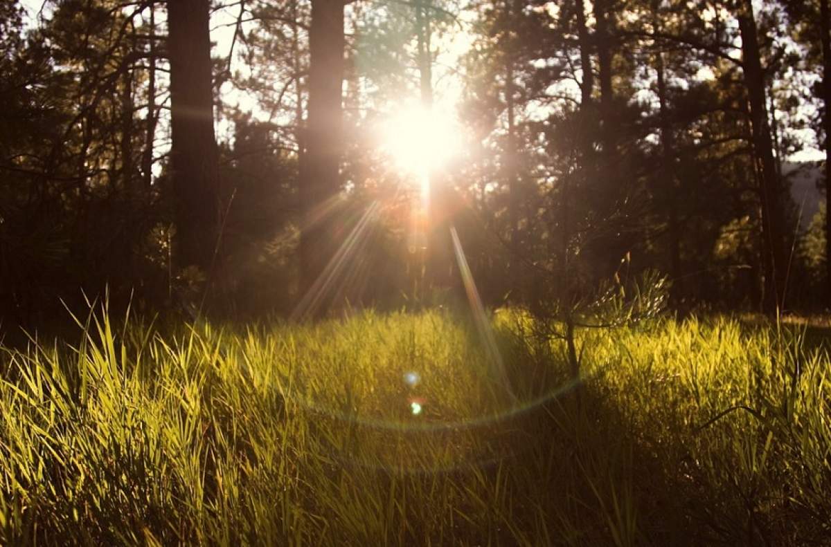 Weekend cu temperaturi de primăvară! Anunţul făcut de meteorologi