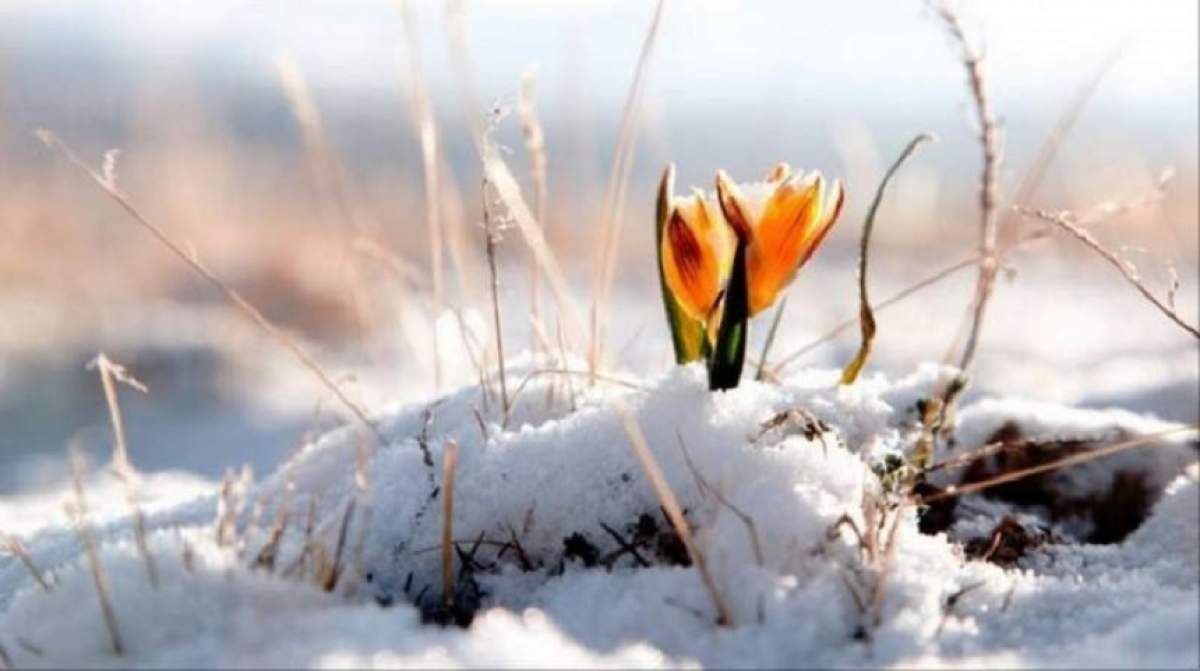 Prognoză meteo 19 februarie. Vremea în București, Iași, Constanța sau Cluj: primăvara vine mai devreme