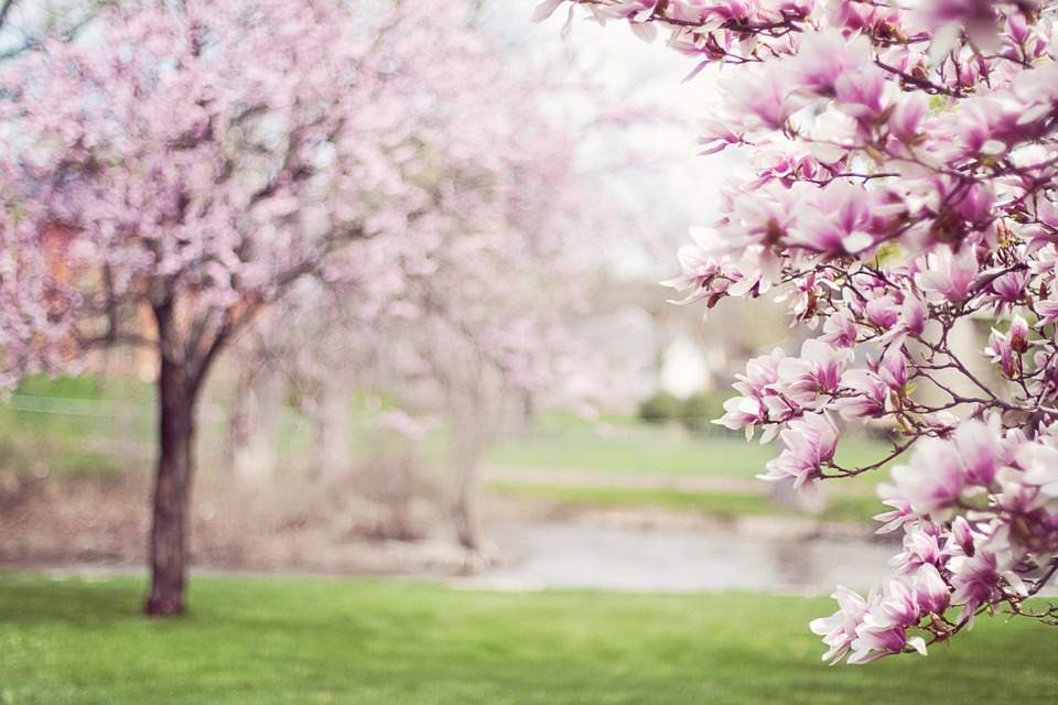 Vremea în București miercuri 20 februarie. ANM anunță soare și temperaturi mari