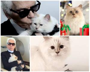 Averea lui Karl Lagerfeld va fi moștenită de pisica lui. Ce sumă colosală va primi Choupette