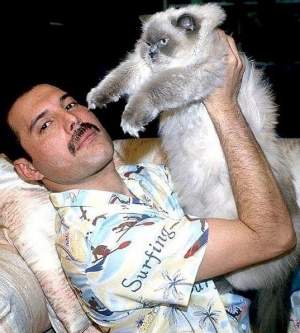 FOTO / Detalii neștiute despre Freddie Mercury! Pe cine iubea artistul cel mai mult