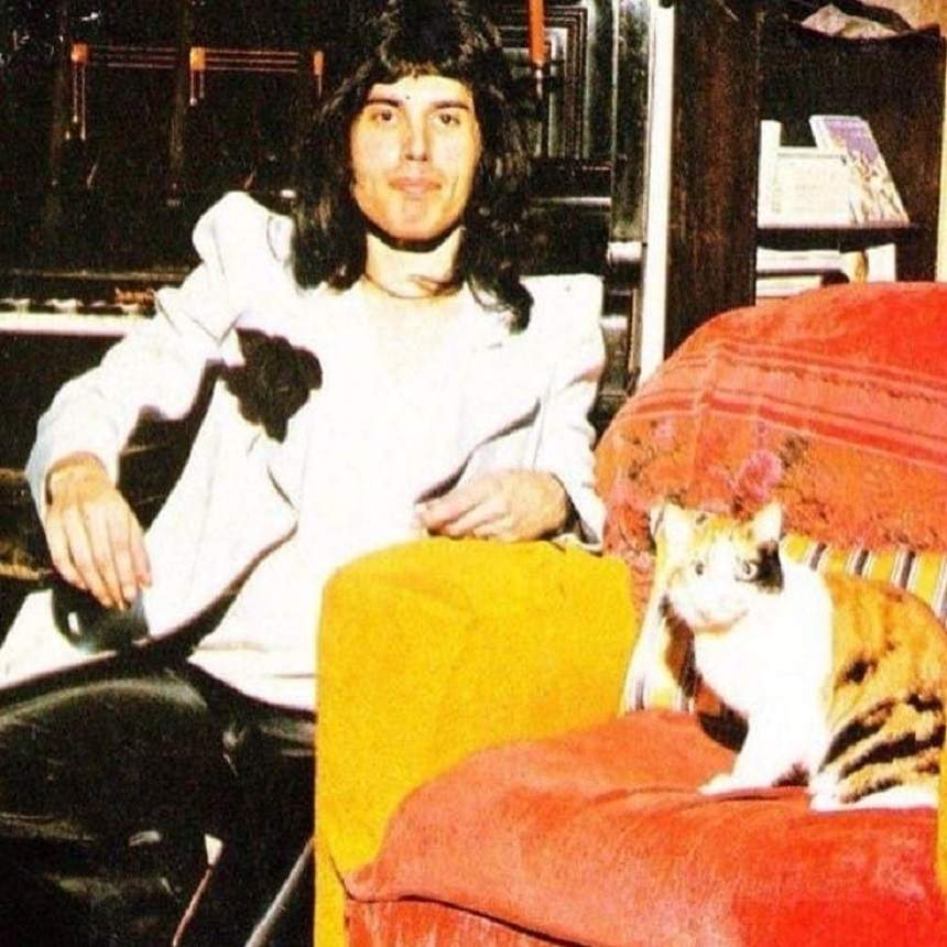 FOTO / Detalii neștiute despre Freddie Mercury! Pe cine iubea artistul cel mai mult