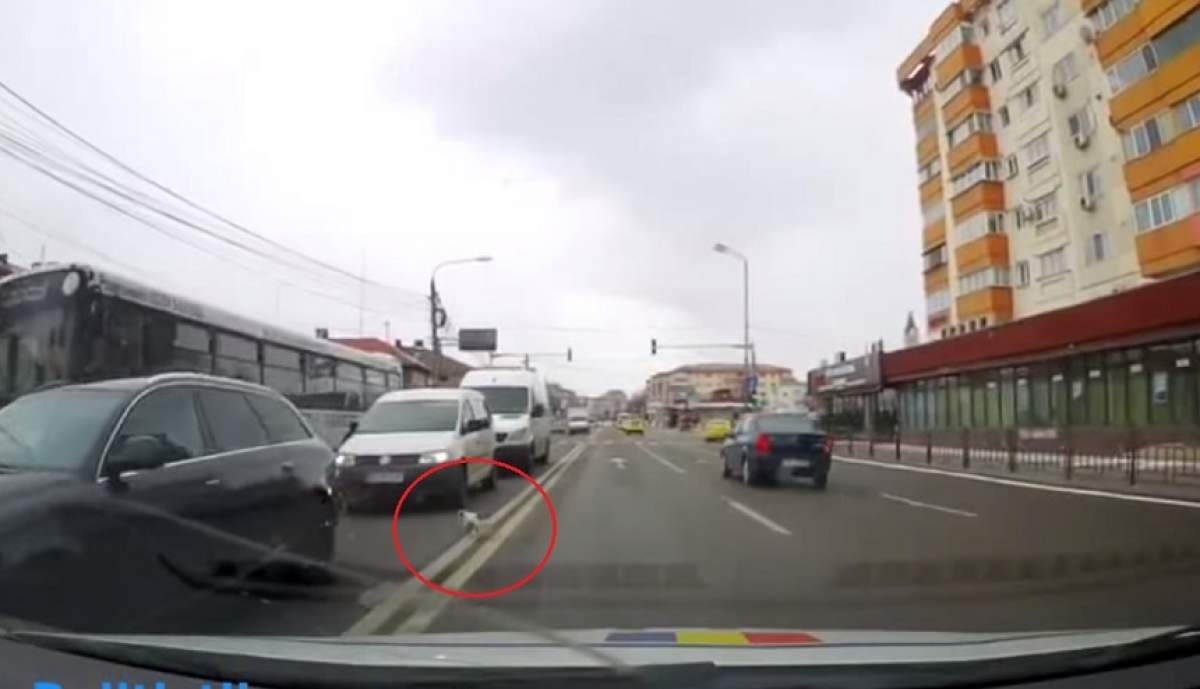 VIDEO / Bunătatea nu poartă uniformă! Vezi pentru cine a fost oprită circulaţia în Bacău