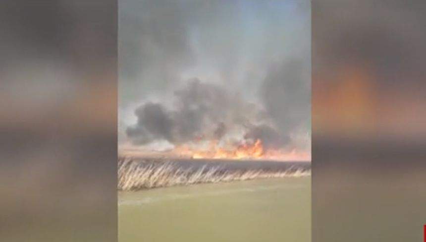 VIDEO / Incendiu puternic, joi după-amiază, în Delta Dunării. Flăcările se înteţesc de la un minut la altul din cauza vântului