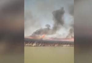 VIDEO / Incendiu puternic, joi după-amiază, în Delta Dunării. Flăcările se înteţesc de la un minut la altul din cauza vântului
