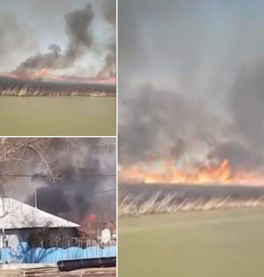 VIDEO / Incendiu puternic, joi după-amiază, în Delta Dunării. Flăcările se înteţesc de la un minut la altul din cauza vântului