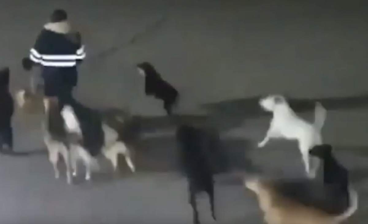 VIDEO / Momentul șocant în care o tânără este sfâșiată și omorâtă de câini maidanezi