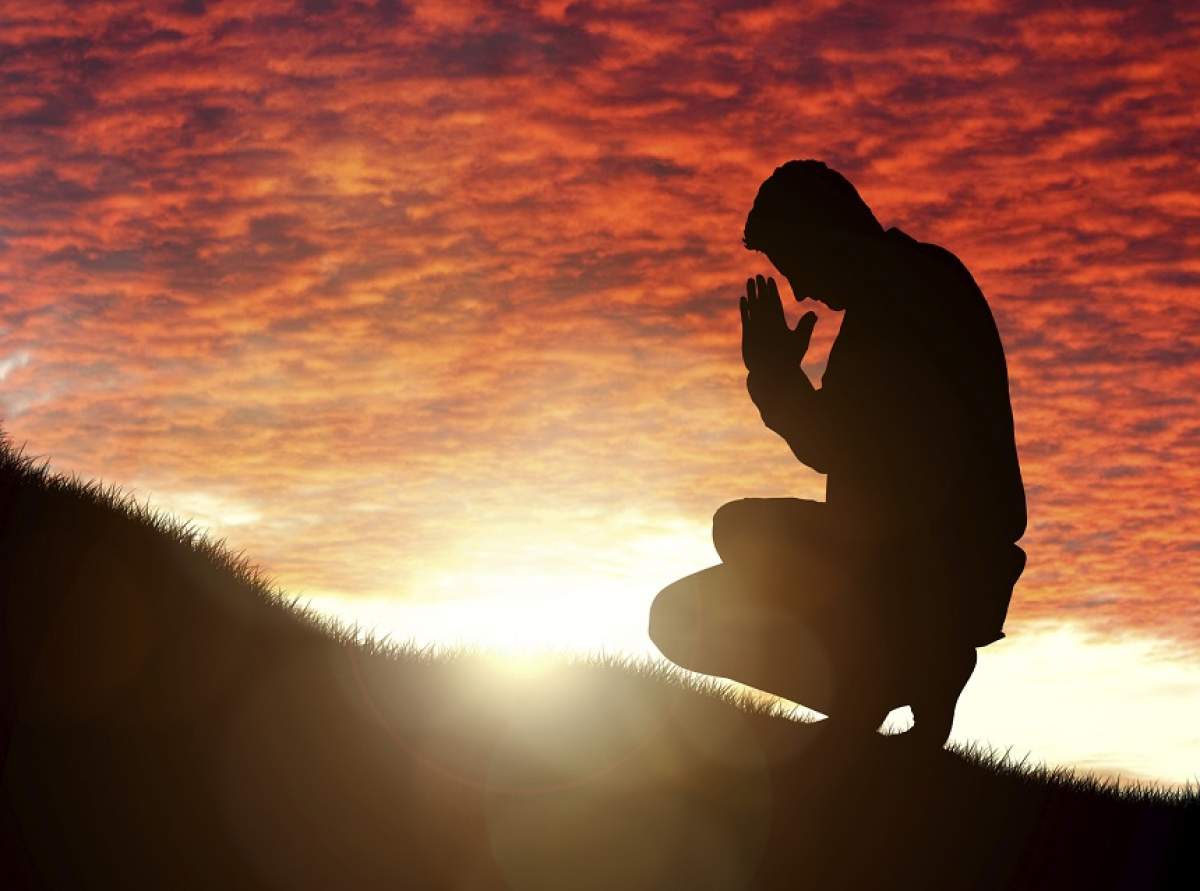 Cad dar se ridică de fiecare dată mai puternici