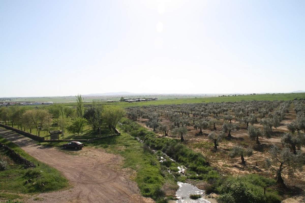 Un spaniol a fost omorât cu sălbăticie şi abandonat într-o livadă de măslini! Autorul este român