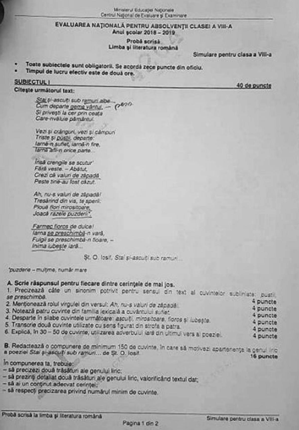 Simulare Evaluare Naţională 2019! Subiectele la Limba şi Literatura Română