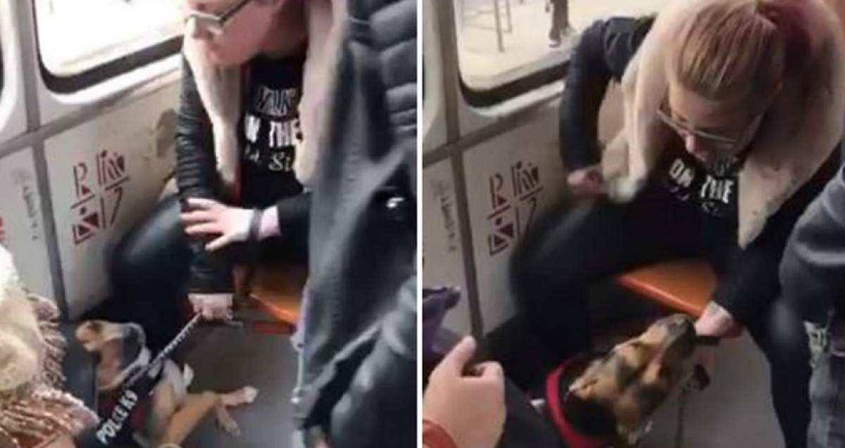 Scene şocante într-un tramvai din Capitală! Şi-a bătut câinele cu pumnii, în timp ce oamenii o priveau îngroziţi. VIDEO