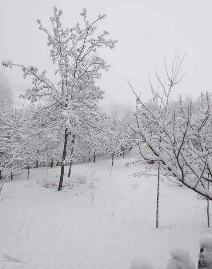 Strat serios de zăpadă în judeţul Buzău! A nins timp de câteva ore