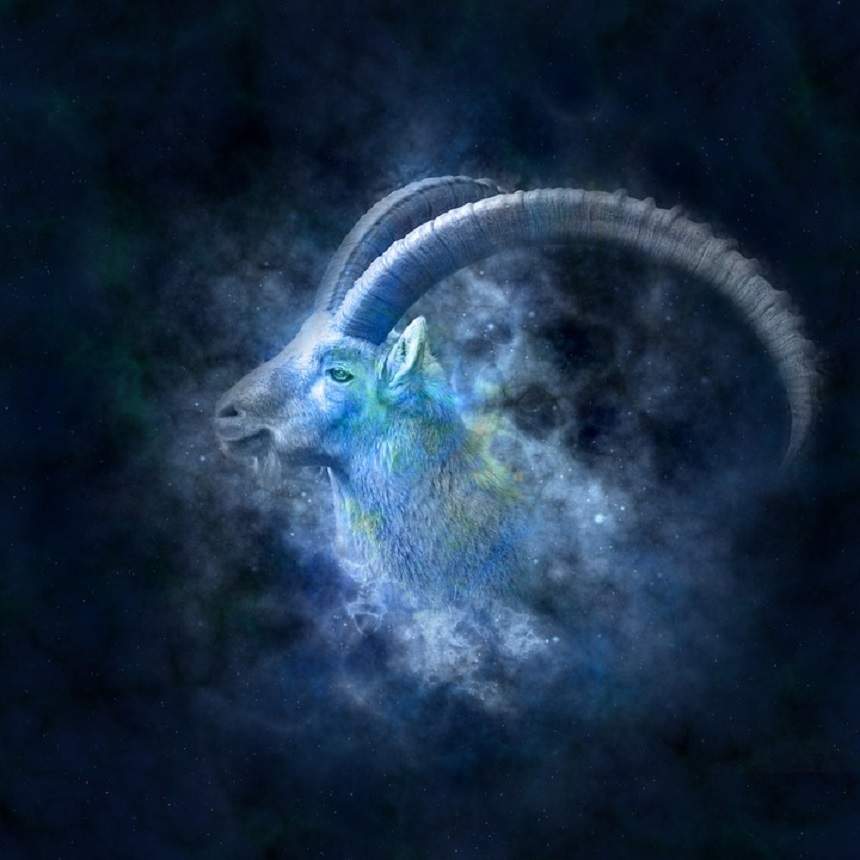 O zodie de pământ, guvernată de planeta Saturn, zodia Capricorn este caracterizată prin seriozitate, tenacitate și foarte multă dăruire.