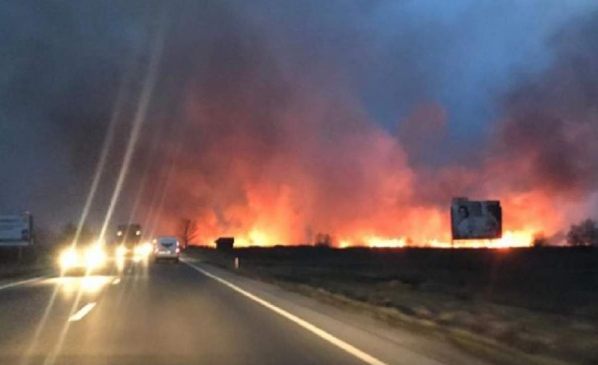 Incendiu de vegetație de proporții! Traficul pe DN 1 este complet blocat. VIDEO