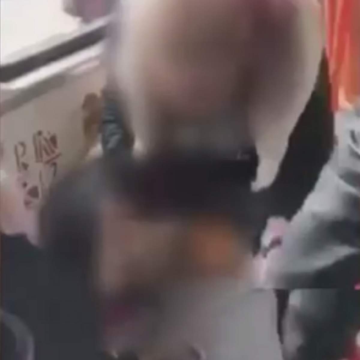 Ce pedeapsă a primit tânăra din București, care și-a bătut câinele în tramvai