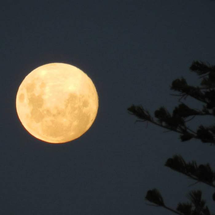 Eveniment astronomic spectaculos! Ultima super-Lună este vizibilă şi în România / VIDEO