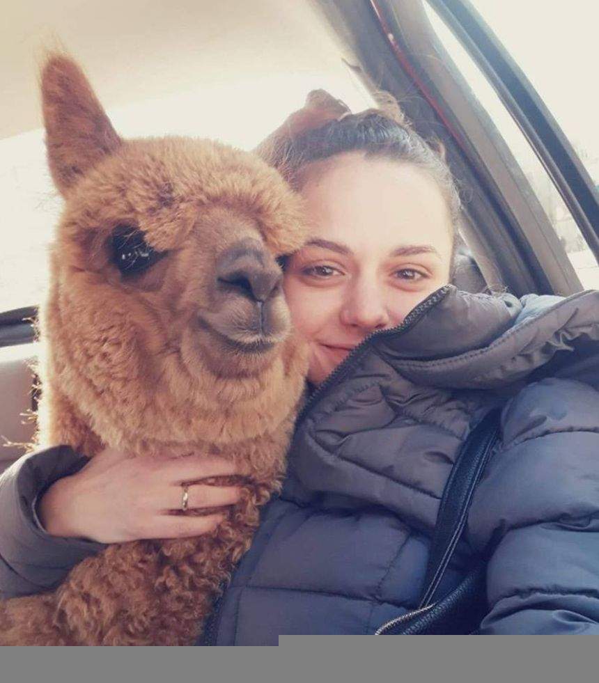 După ce a fost criticat că şi-a luat animal de companie o alpaca, Marian Godină a decis. Ce se întâmplă cu Pablo / VIDEO