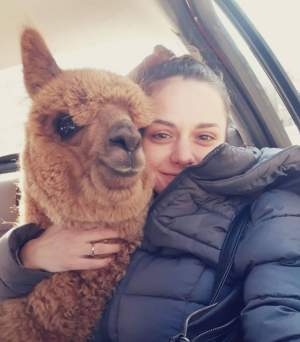 După ce a fost criticat că şi-a luat animal de companie o alpaca, Marian Godină a decis. Ce se întâmplă cu Pablo / VIDEO