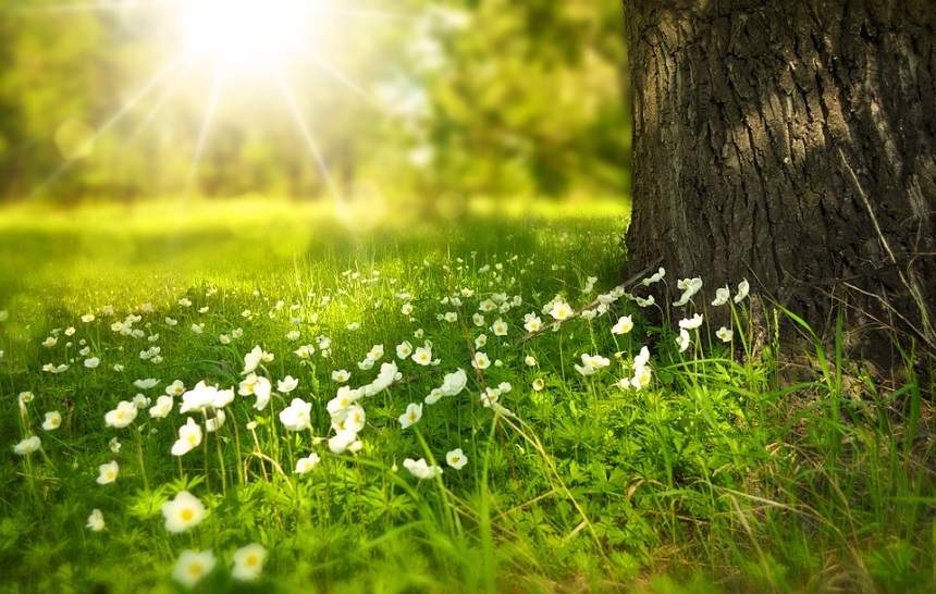 Prognoză meteo 30 martie. Cum va fi vremea în Bucureşti, Iaşi, Constanţa sau Cluj. Temperaturile cresc!