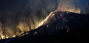 Incendiu uriaş în Bihor! Pompierii s-au luptat 6 ore cu flăcările / FOTO