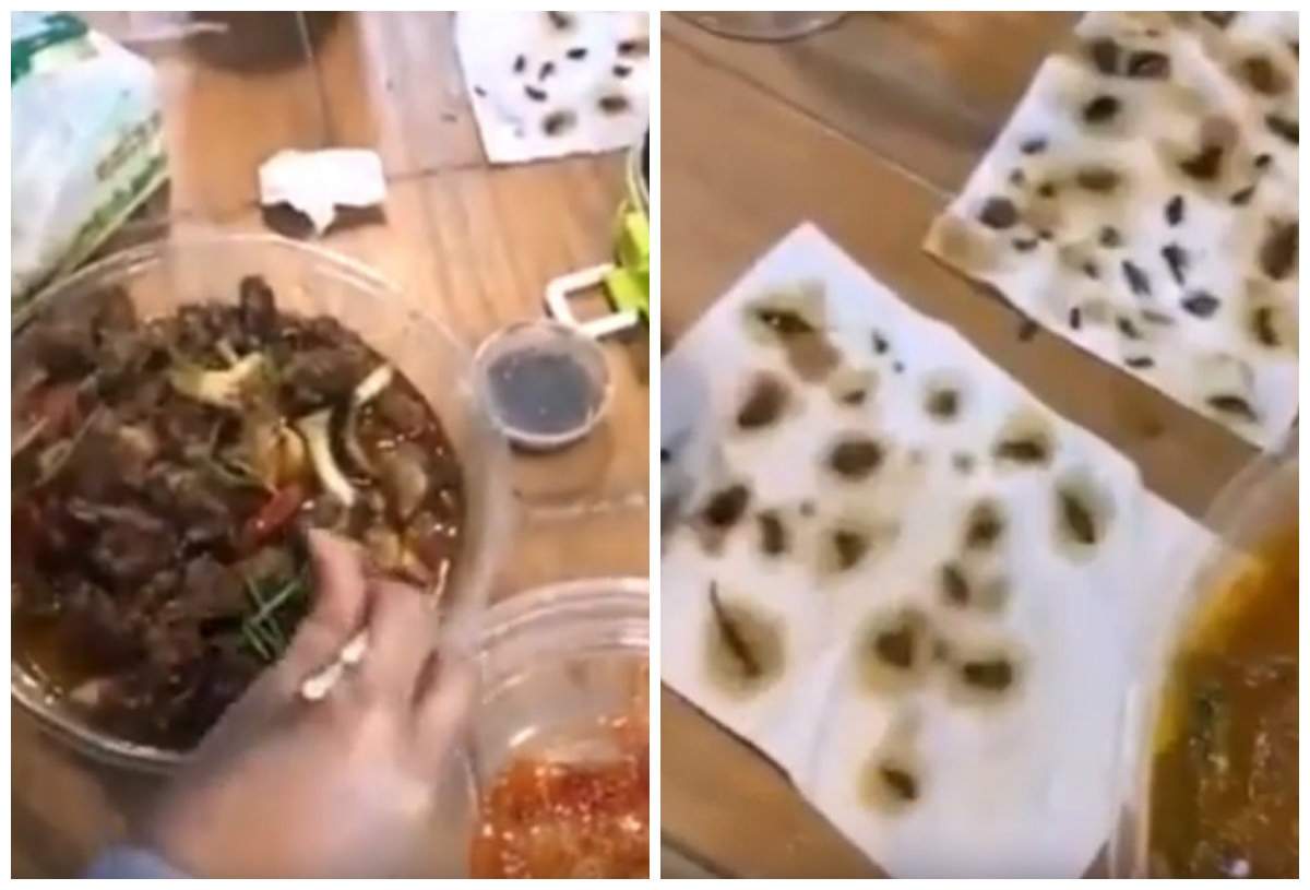 Atenție, imagini dezgustătoare! O femeie a găsit 40 de gândaci morți, în mâncarea comandată online. VIDEO