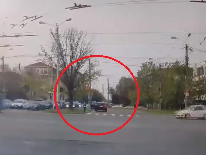 Accident șocant în Timișoara! Un pieton spulberat pe trecerea de pietoni se târăște pe asfalt cu ultimele puteri, pentru a-și salva viața. VIDEO