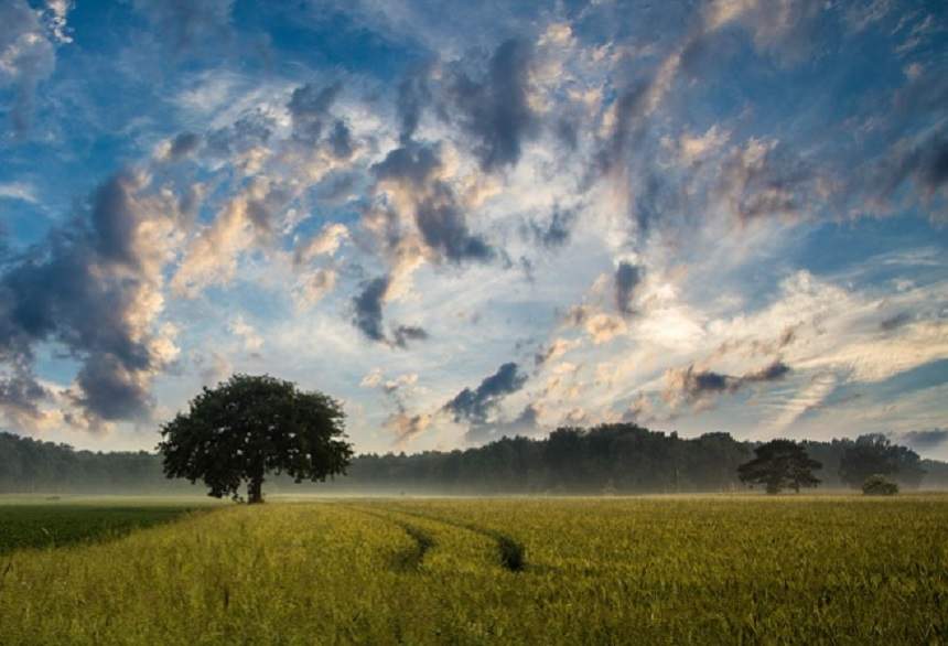 Vremea în Bucureşti, sâmbătă, 20 aprilie. Soare, nori şi câteva averse scurte, în ajun de Florii