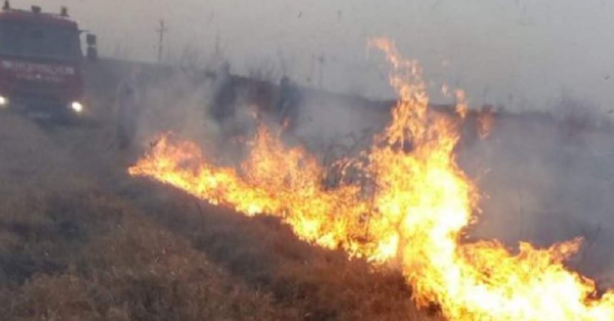 Un vasluian a dat foc la pădure, din greșeală. Cum s-a petrecut incidentul