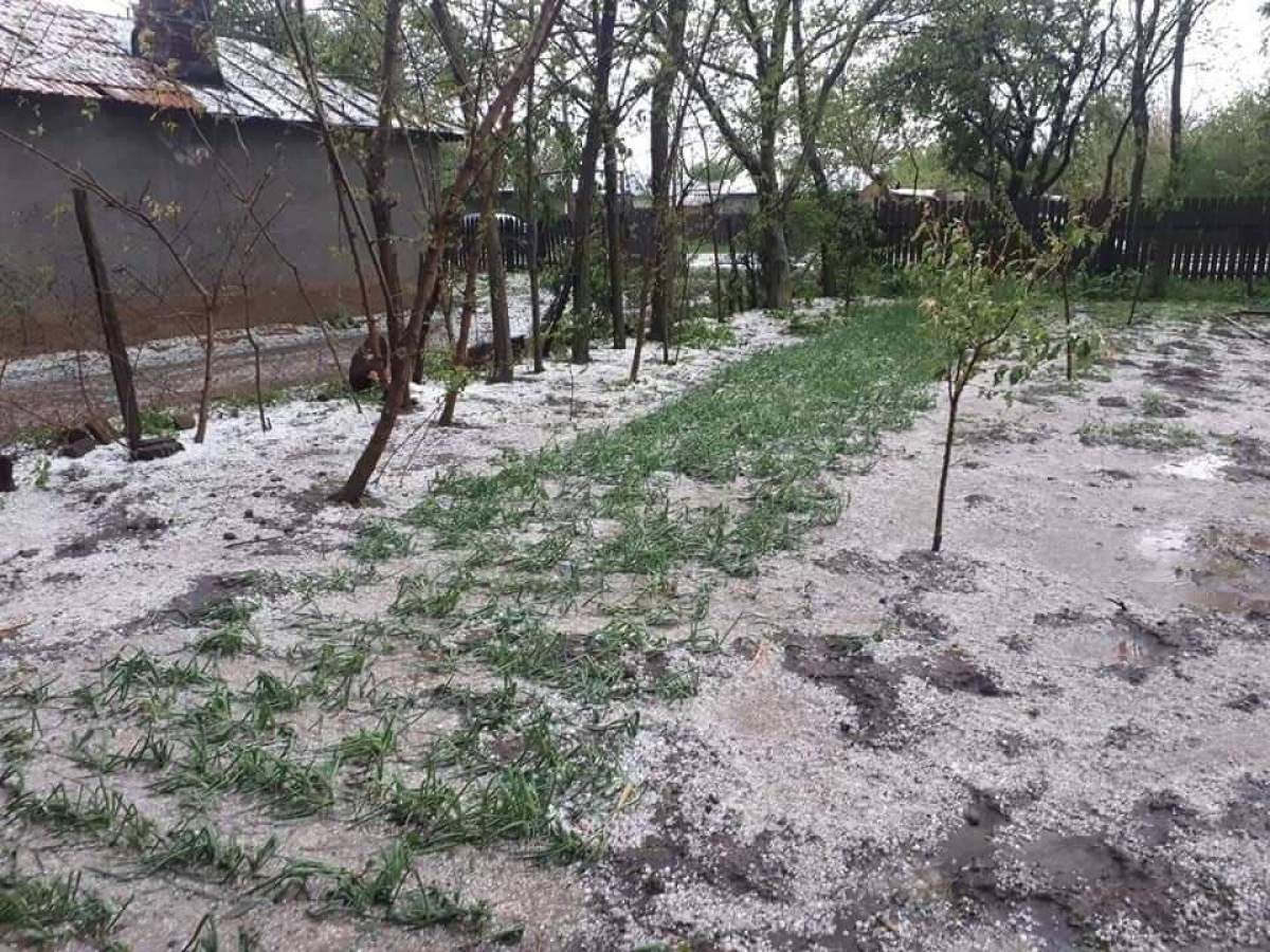 Imaginile prăpădului, în Buzău. Tornada gigant a măturat tot în cale. FOTO