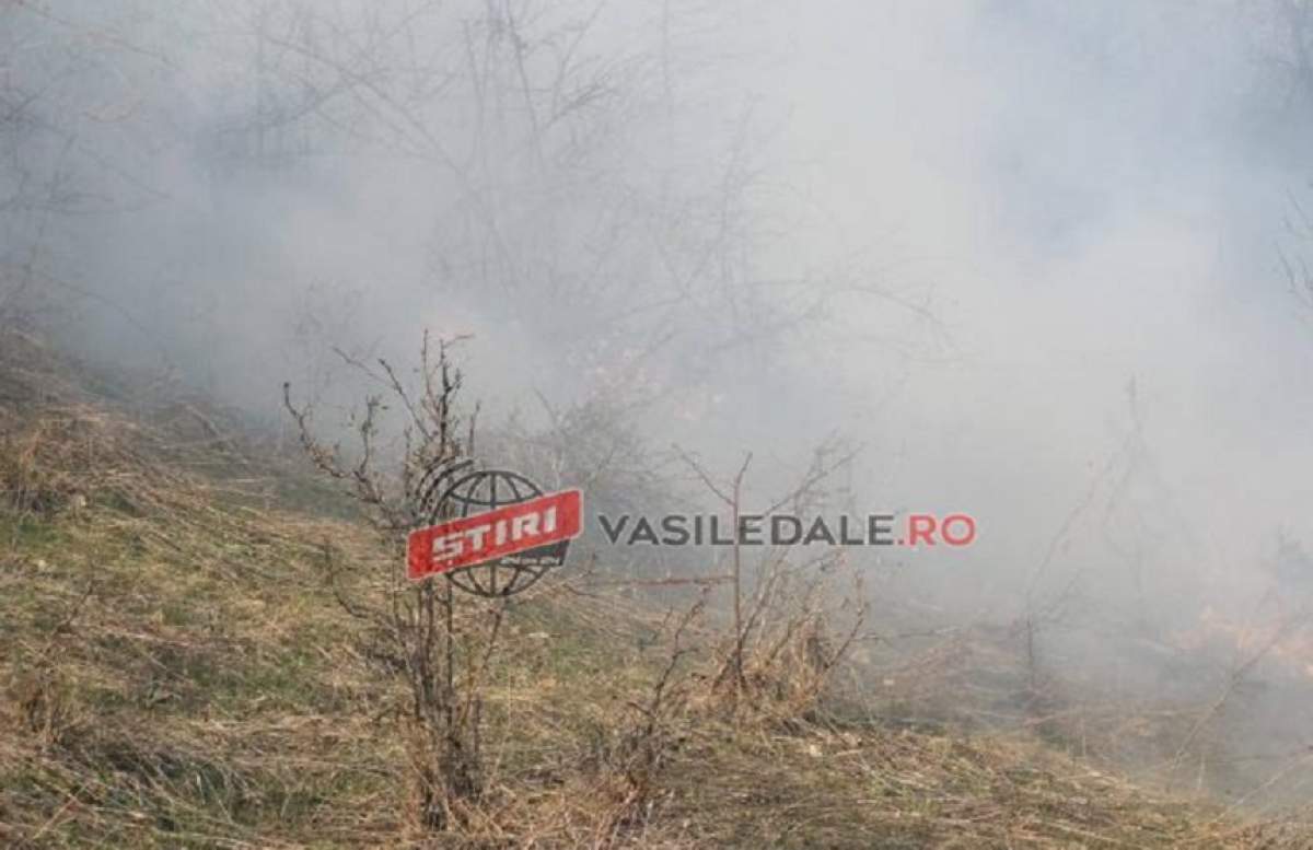 Două persoane şi-au pierdut viaţa în incendiul de vegetaţie uscată din Maramureş