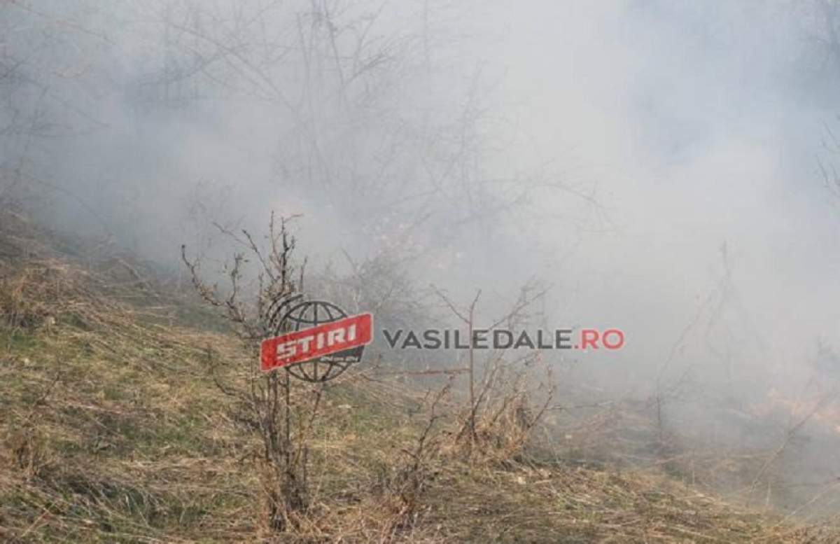 Două persoane şi-au pierdut viaţa în incendiul de vegetaţie uscată din Maramureş