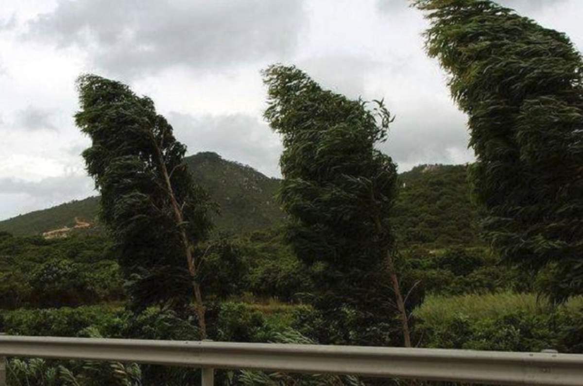 Anunţ de ultim moment de la meteorologi. Mai multe coduri galbene în perioada următoare