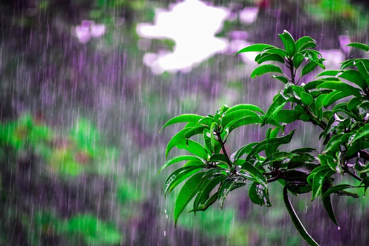 Prognoză meteo 16 mai. Cum va fi vremea în București, Iași, Constanța sau Cluj. Temperaturile scad!