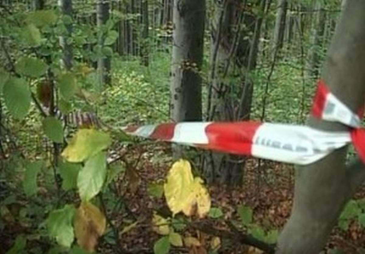 Crimă oribilă în Prahova! O fată înjunghiată, descoperită într-o pădure