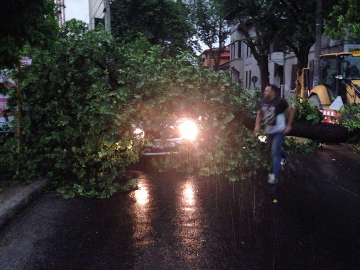 Furtuna face ravagii în Capitală! Mai mulţi copaci au fost puşi la pământ. "Am văzut moartea cu ochii”