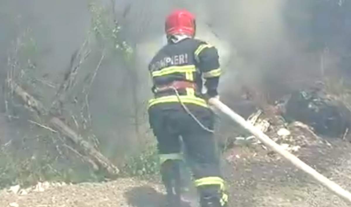 Incendiu de proporții, într-o zonă de vegetație din Tulcea! Un bărbat a suferit arsuri grave