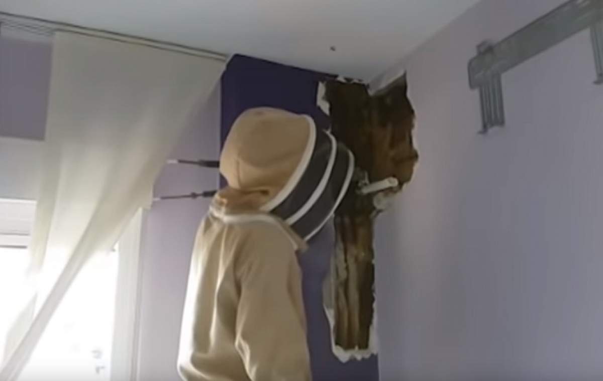 Descoperire şocantă în peretele unui dormitor, după ce proprietarii au auzit un zgomot ciudat! Au trăit acolo doi ani