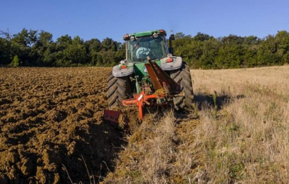 Accident cumplit în Iaşi! Un bărbat care dormea în iarbă a fost strivit de un tractor care cosea