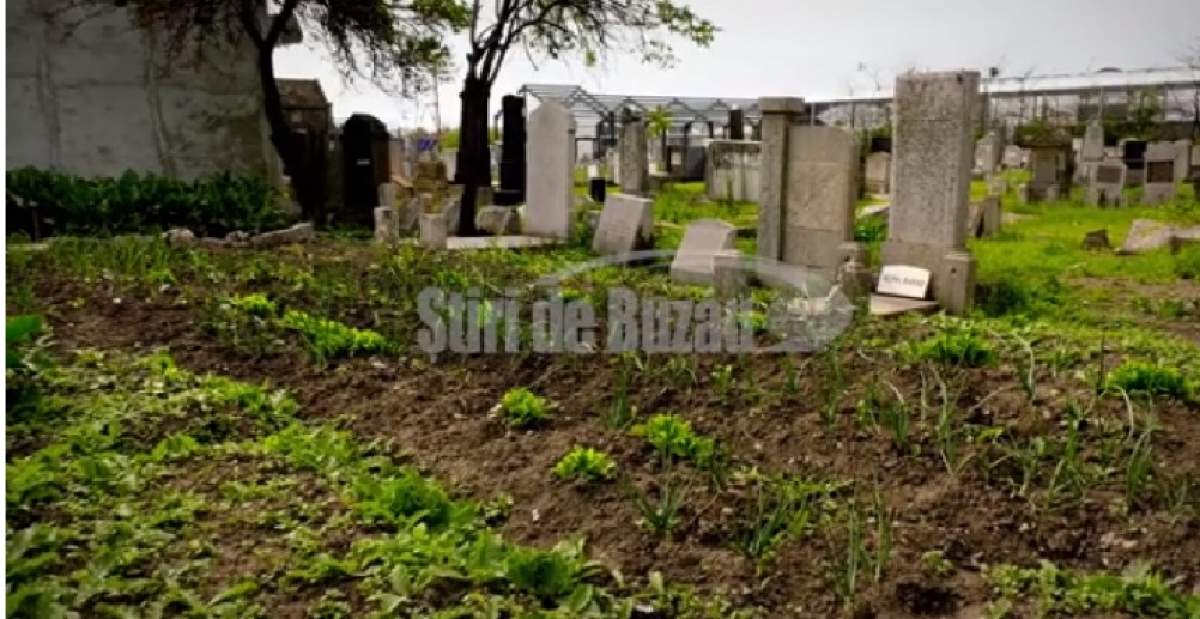 Să vezi și să nu crezi! Oamenii plantează parcele cu ceapă și salată verde, într-un cimitir din Buzău. FOTO