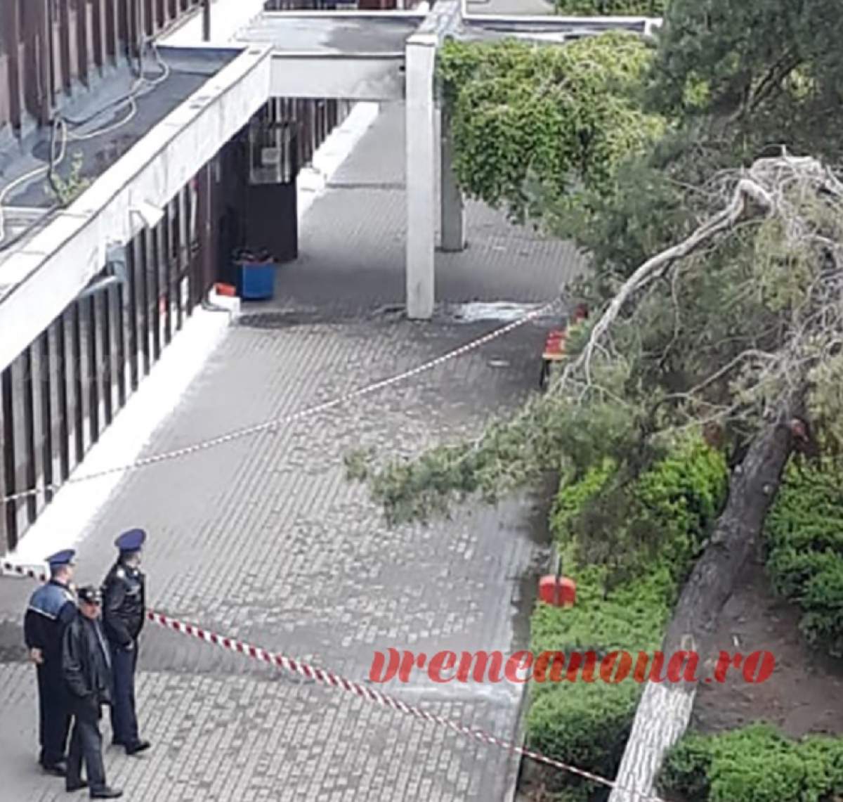 Panică într-o gară din România, după ce a fost găsit un colet suspect. Polițiștii acționează de urgență