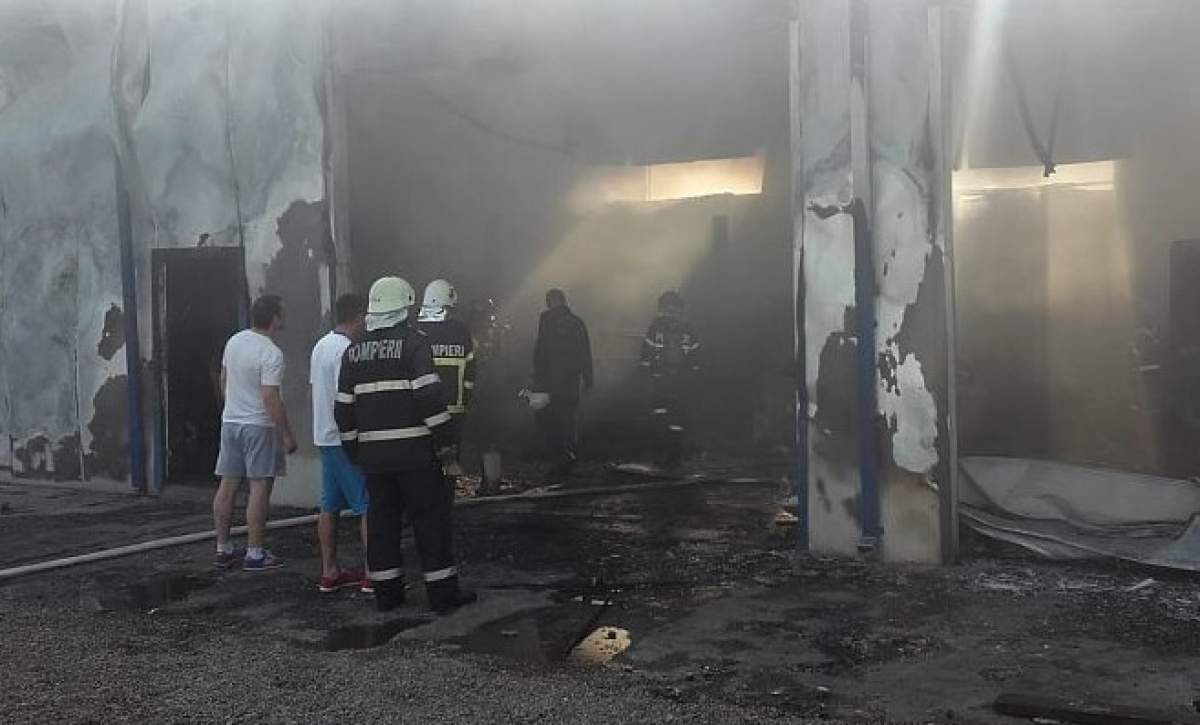 Incendiu puternic la o hală din Adjud! 9 mașini au fost distruse