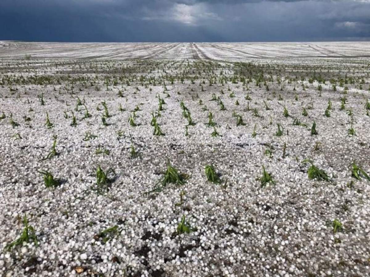 Avertizare de ultimă oră! Vijeliile pun stăpânire pe întreaga ţară! Iată zonele cele mai afectate