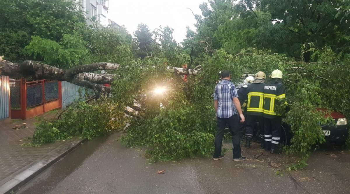 Prăpăd în toată ţara! Furtunile au făcut ravagii / VIDEO