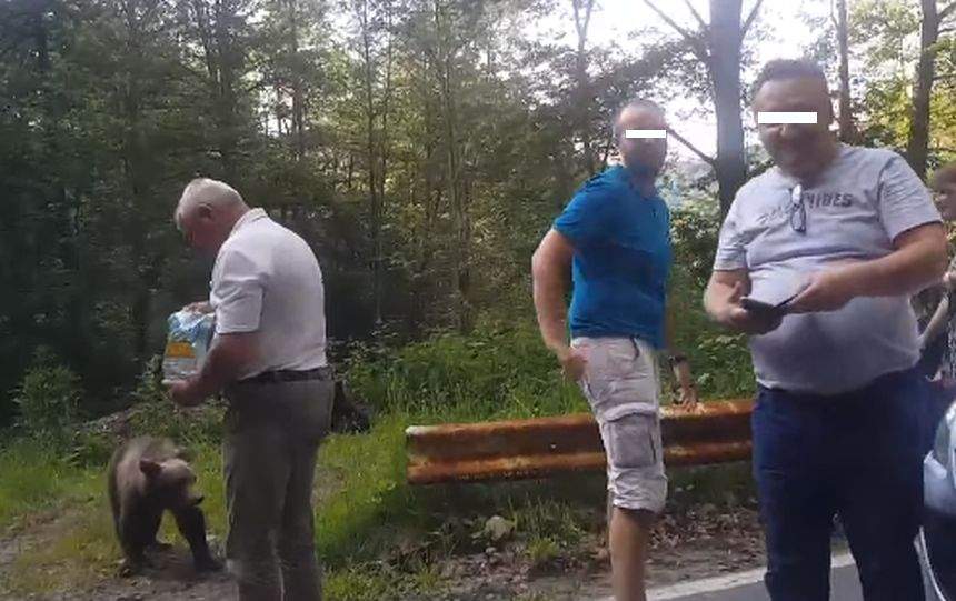 Copii puşi în pericol de părinţi pe Trasfăgărăşan. Micuţii, fotografiaţi lângă urşii din zonă / VIDEO