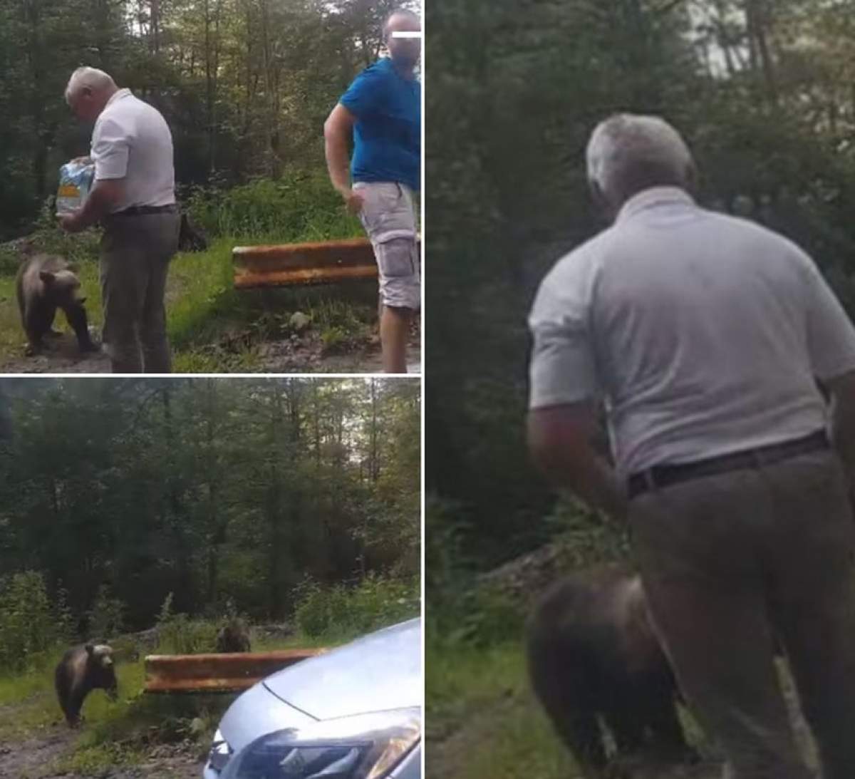 Copii puşi în pericol de părinţi pe Trasfăgărăşan. Micuţii, fotografiaţi lângă urşii din zonă / VIDEO