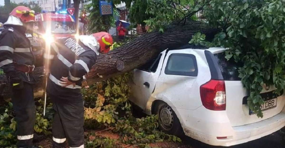 Furtuna din Capitală a pus copacii la pământ! Mai multe maşini au fost avariate