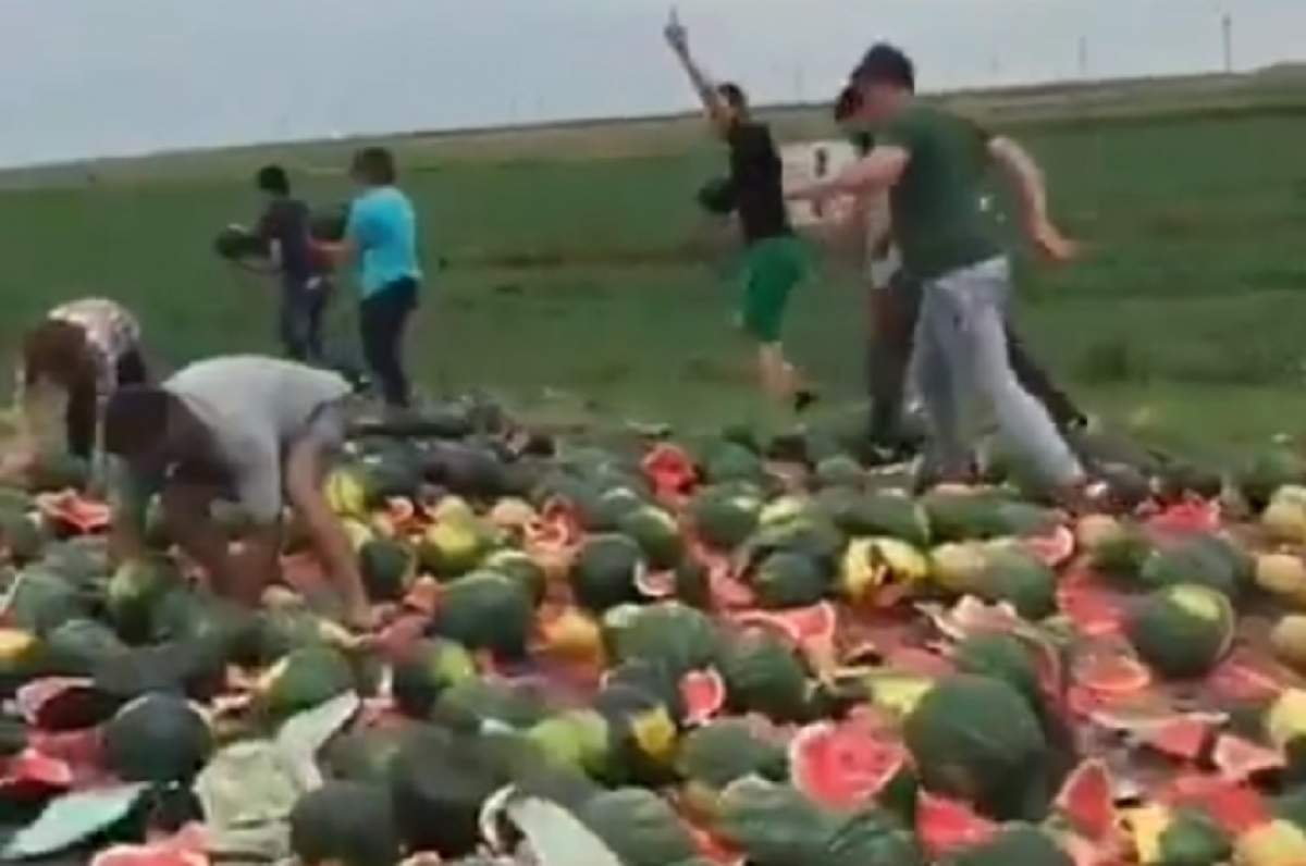 Mare bucurie pentru români, la ieşire din Alexandria! Un camion încărcat cu pepeni a pierdut marfa... pe drum. VIDEO