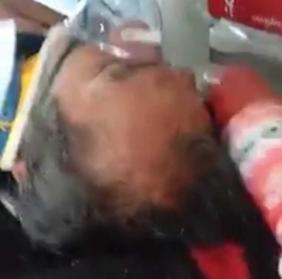Imagini halucinante! Un paramedic lovește un pacient cu un baton de parizer. VIDEO
